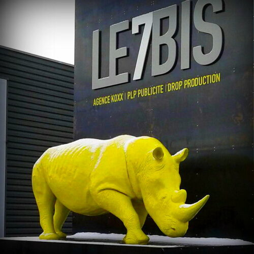 Large rhino 