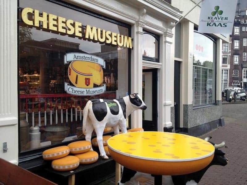 Kalb 1 Wejście do Muzeum Sera w Amsterdamie z figurą krowy i imitacją sera.