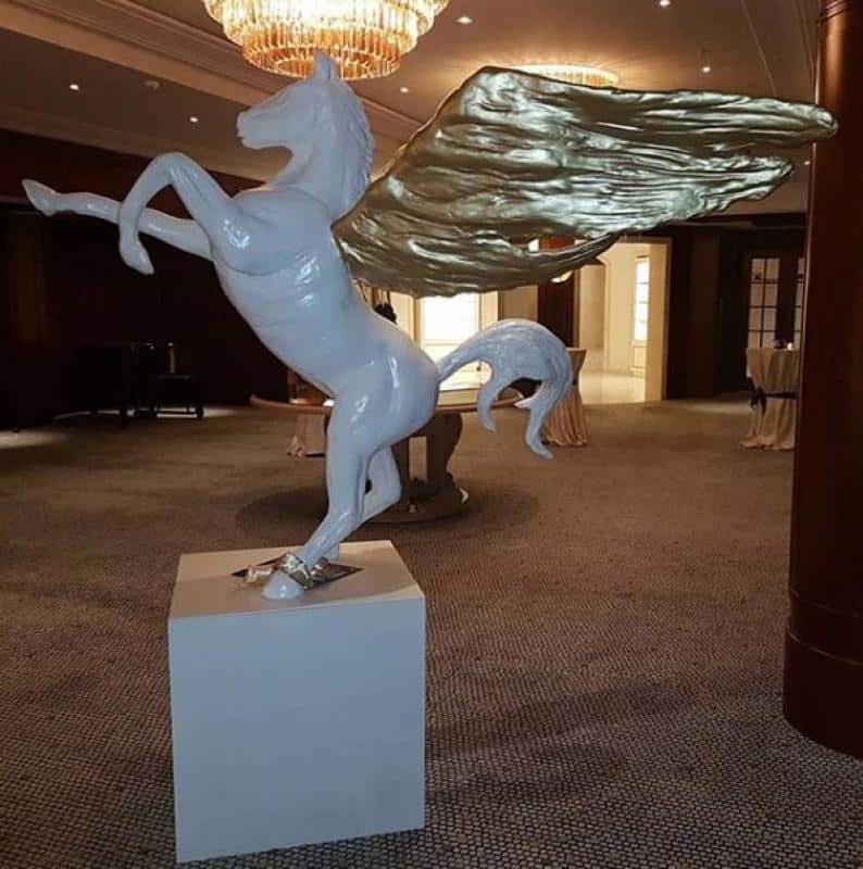 oryg_064490685_1129949550544944_1465385417682452480_o pegasus3