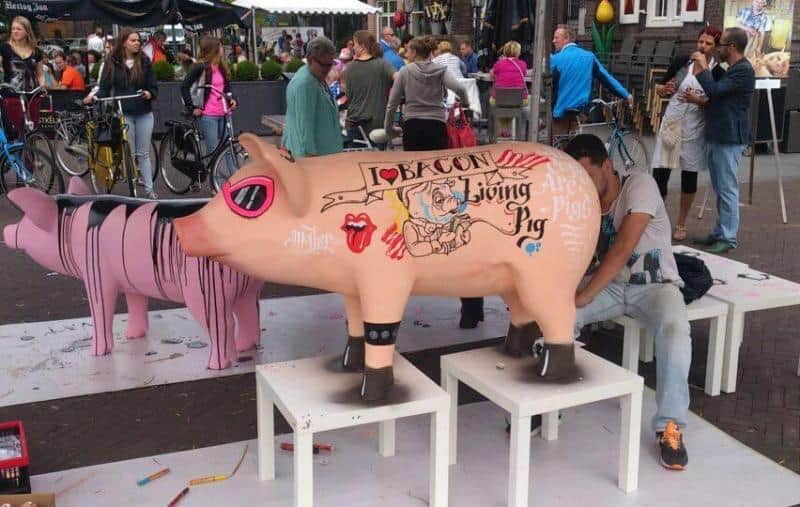 oryg_064490685_1129949550544944_1465385417682452480_o pig1