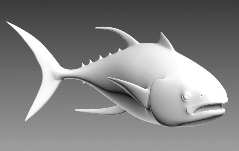Thunfischschwarm 2 Model 3D ryby z wyraźnymi płetwami i otwartymi ustami na szarym tle.