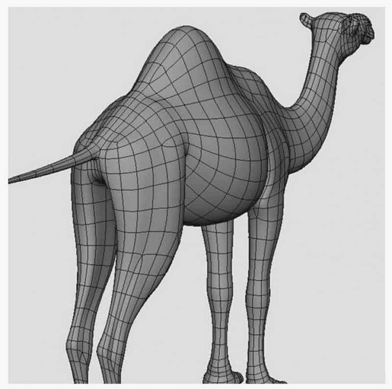 Karawane von Kamelen 3 Model 3D wielbłąda bez tekstur.