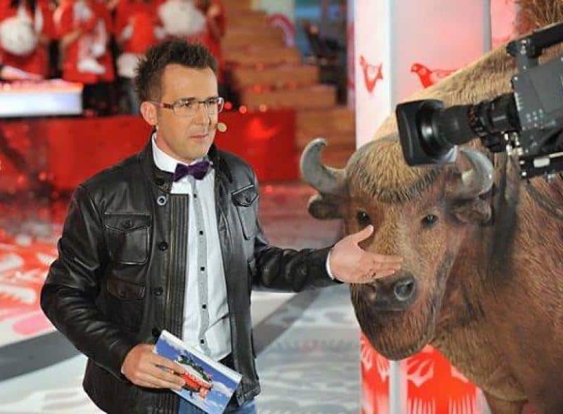 Bisons in "Ich liebe dich Polen" 3 Mężczyzna w okularach i skórzanej kurtce stoi obok wypchanego żubra w studiu telewizyjnym.