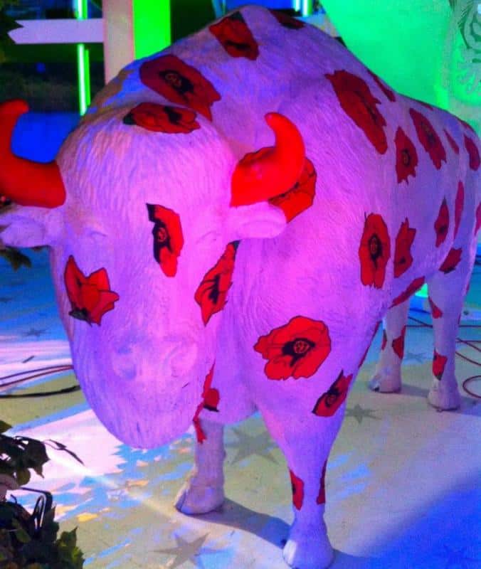 Bisons in "Ich liebe dich Polen" 4 Rzeźba byka pomalowana na biało, z czerwonymi makami i czerwonymi rogami.
