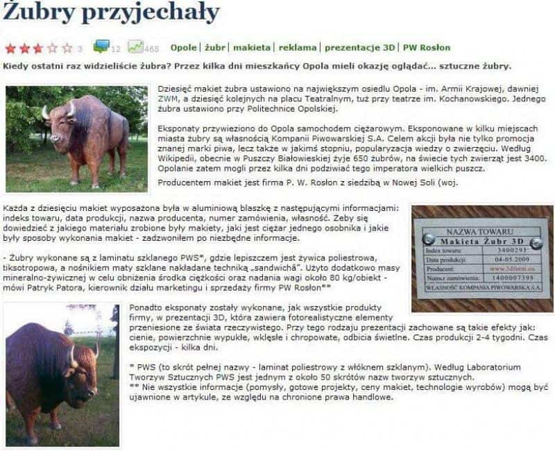 Werbefiguren für Żubr-Bier 3 Artykuł o przyjeździe sztucznych żubrów do Opola, zdjęcia żubrów, informacje o produkcji makiet z laminatu, dane firmowe PW Rosłon.