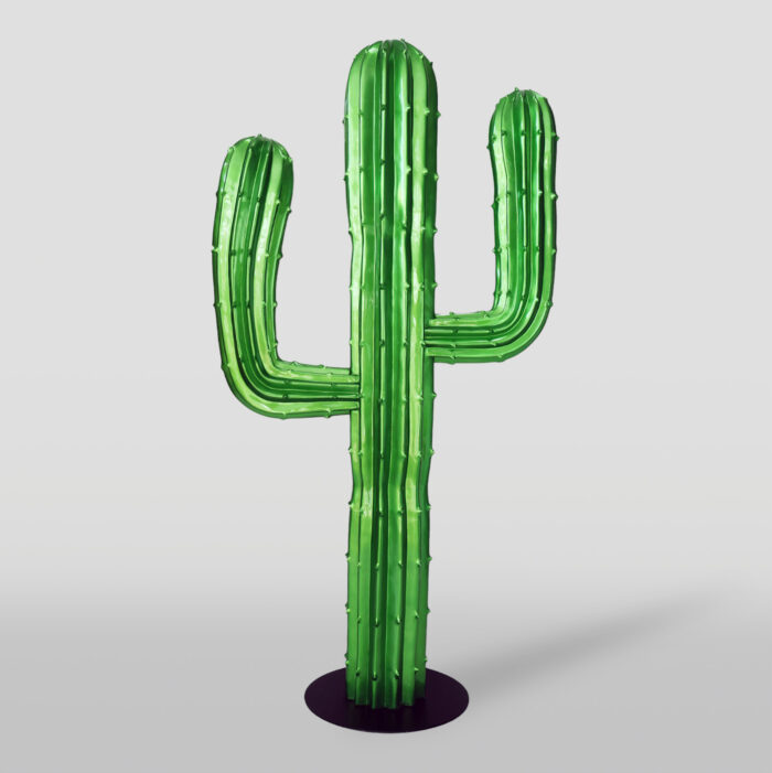 kaktus perla 2