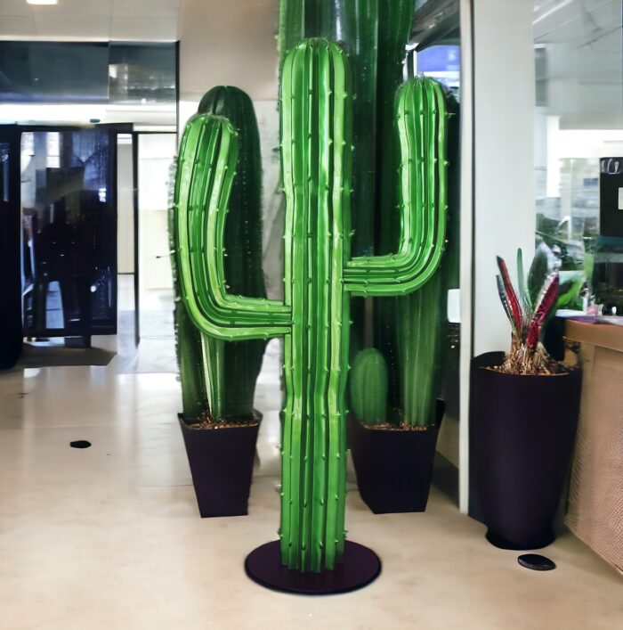 kaktus perla biuro PhotoRoom