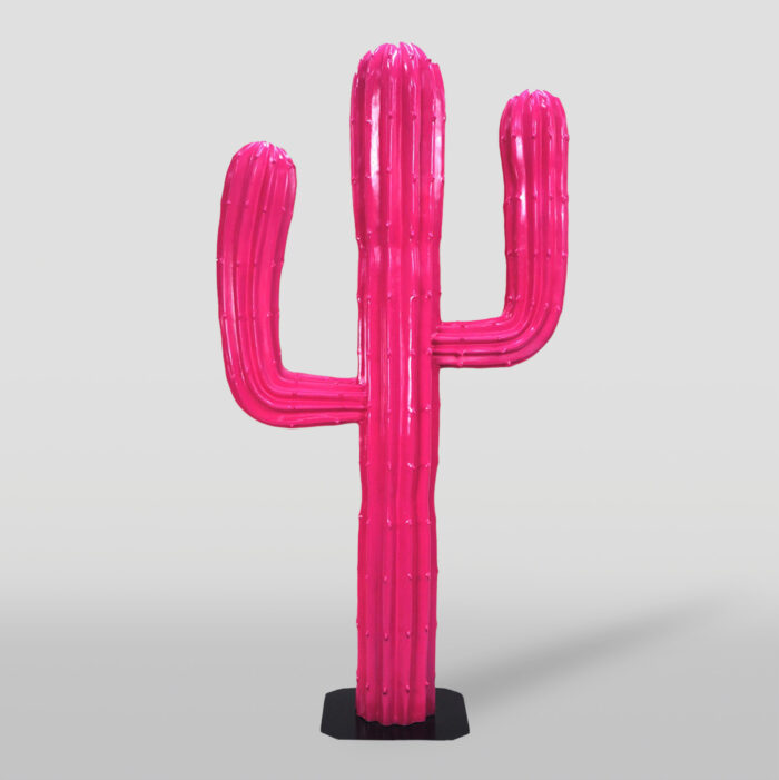 kaktus rozowy 125