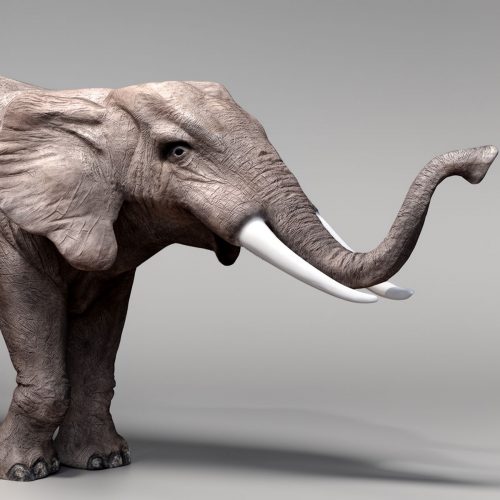 Figura 3D - Słoń Naturalnej Wielkości