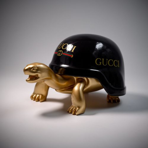 Schildkröte mit Helm – G