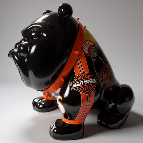 Bulldoggenhund Avella 55 cm - Harley 2