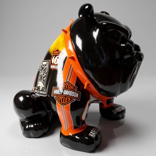 Bulldoggenhund Avella 55 cm - Harley 2