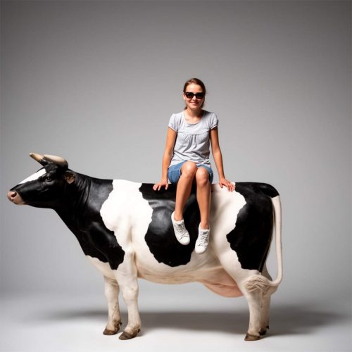 Figura krowy - makieta 3D naturalnej wielkości